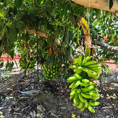 شقة Montana Negra I