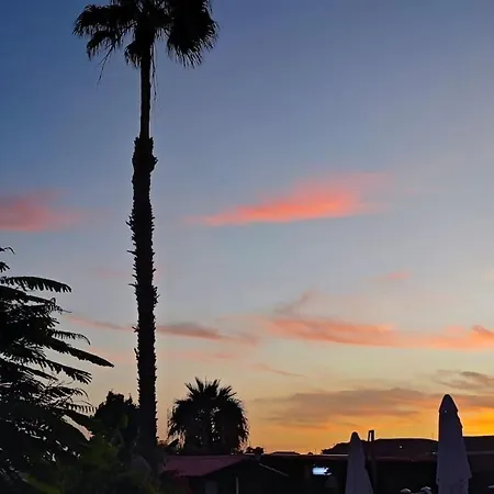 Montana Negra I لاس بالماس دي غران كاناريا