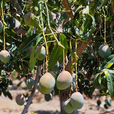 Montana Negra I شقة