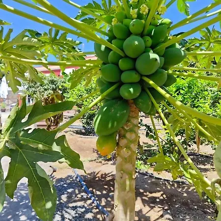 Montana Negra I شقة